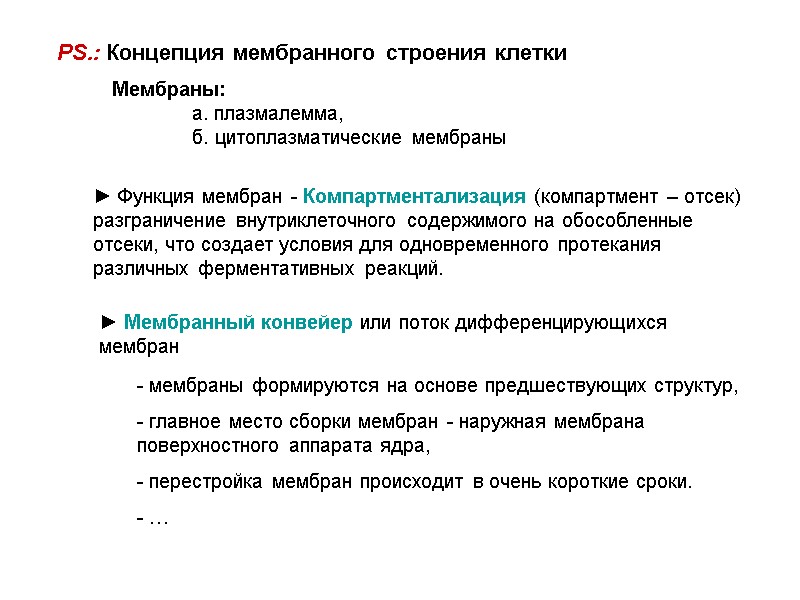 PS.: Концепция мембранного строения клетки Мембраны:  а. плазмалемма,  б. цитоплазматические мембраны ►